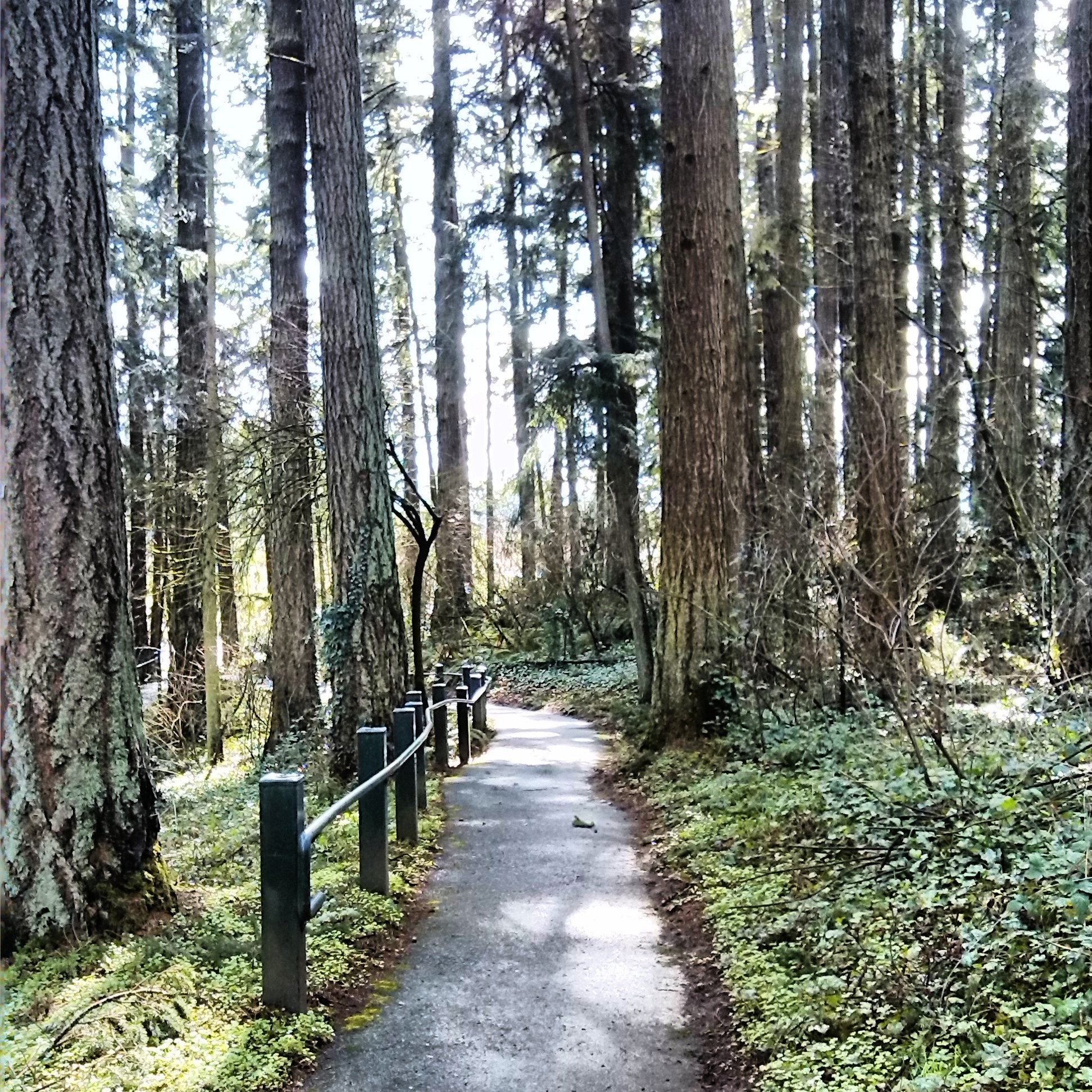 Memorial Park • Wilsonville • Oregon Runs